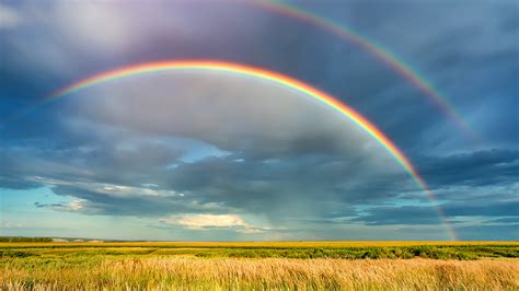 Explainer Rainbows Fogbows And Their Eerie Cousins