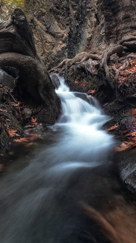 Waterfall Passing Through Trees In Dark Forest During