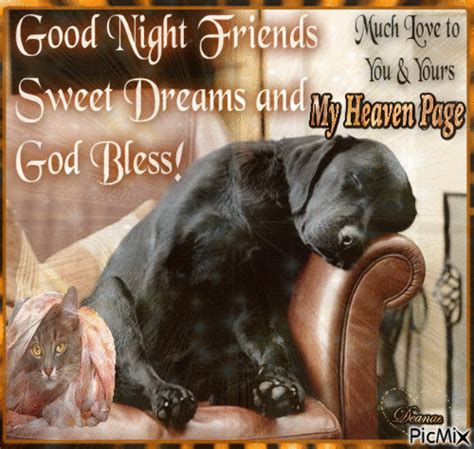 Good Night Friends Sweet Dreams And God Bless Good Night Cat Good