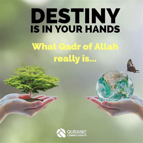 Qadr Of Allah Do We Really Have A Choice The Muslim Life Coach