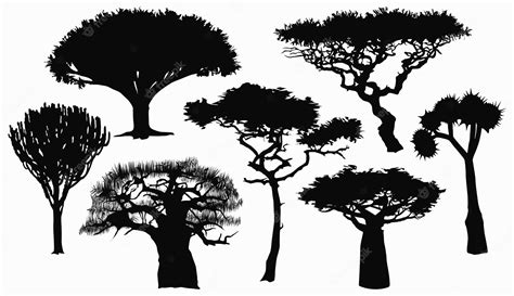 Premium Vector Collection With Flat Silhouettes Of African Trees