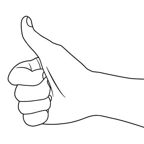 Outline Line Sketch Of Thumbs Up Hand Or Ok Hands Vector Thumbs Up Ok
