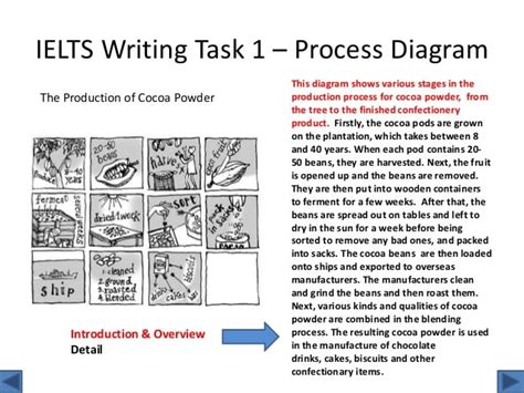 Task 1 Overview