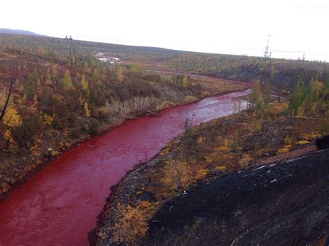 In Norilsk The River Turned Blood Red Earth Chronicles News