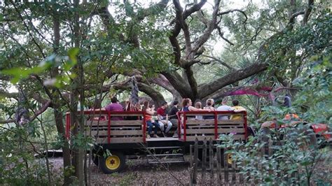 Scout Island Scream Park Just Might Be New Orleans Most Terrifying Haunted Attraction