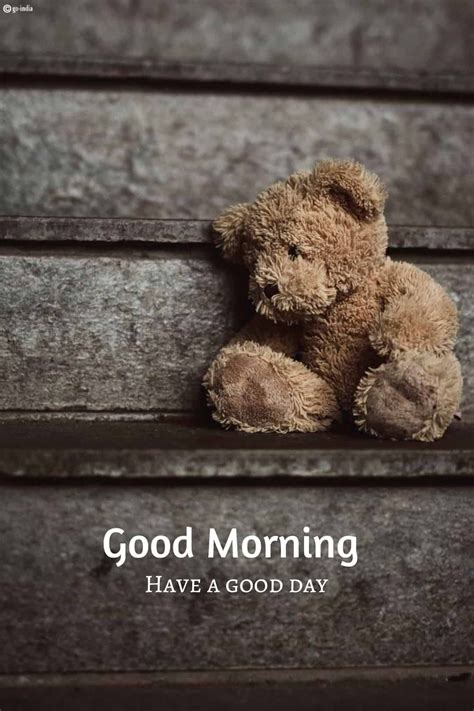 100 Cute Good Morning Teddy Bear Images Latest Update
