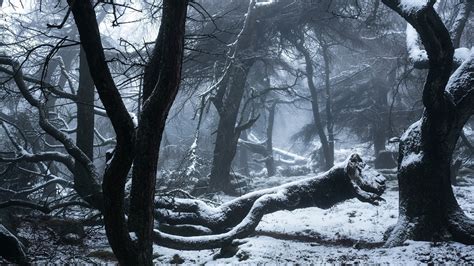 Download 3840x2160 England Snow Winter Dark Forest