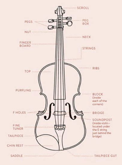 What Is Violin Purfling And Other Violin Parts You Didnt