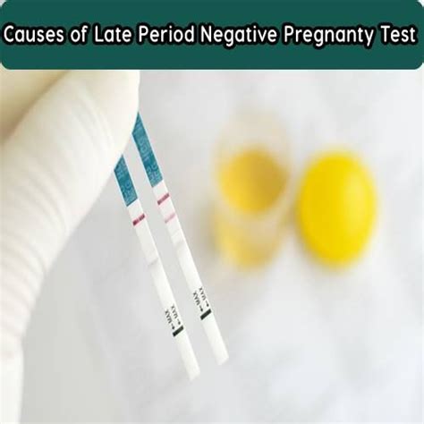 Causes Of No Period And Negative Pregnancy Test Pregnancywalls