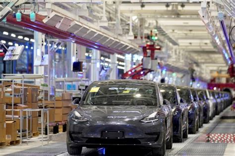 Shanghai Government To Help Tesla Resume Production Amid Epidemic