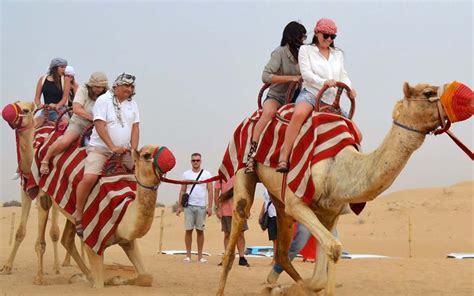 Camel Riding In Dubai Desert Safari Platinum Heritage And More Mybayut