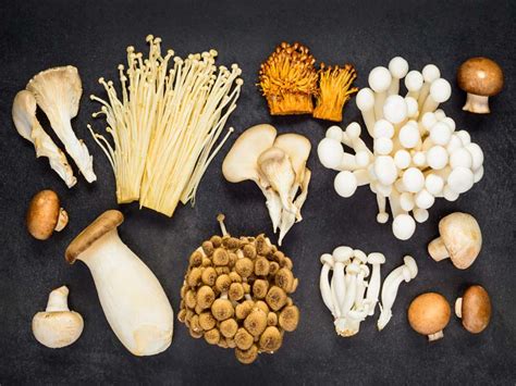 Mushroom Types Edible And Non Edible Varieties With Pictures