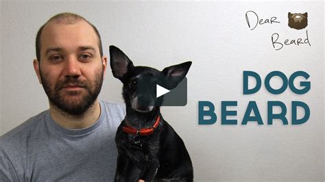 Dog Beard Dear Beard 003 On Vimeo