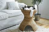 Ideas For Cat Beds Photos