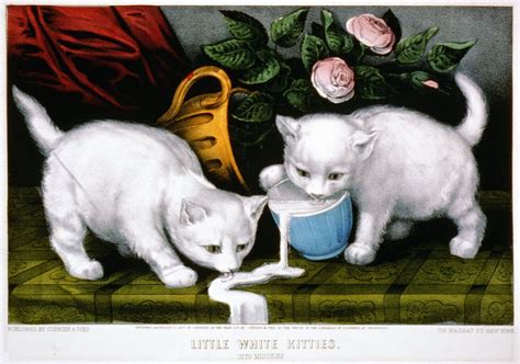 Little White Kitties Into Mischief Edited Library Of Congr Flickr