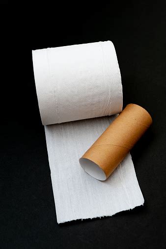 Single Roll Of Unrolled White Toilet Paper And Paper Core Tube Isolated
