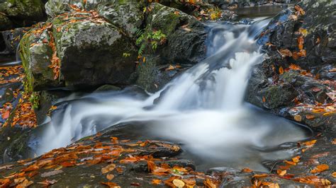 Picture Foliage Stream Autumn Nature Waterfalls Stones 2560x1440