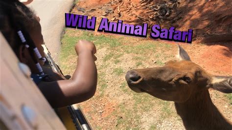 We Visited Wild Animal Safari Youtube