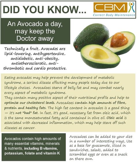 An Avocado A Day May Keep The Doctor Away Correct Body Maintenance