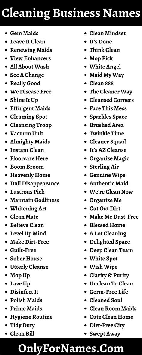 400 Cleaning Business Names Good Cool Catchy Unique And Best