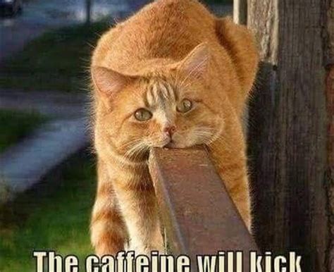 Check spelling or type a new query. 34 Cool Funny Quotes Life - FunZumo