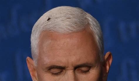 Fly Lands On Mike Pence S Head During Us Vp Debate Pix Video Foreign Affairs Nigeria