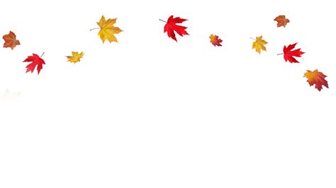 Autumn Leaf Color Clip Art Transparent Fall Leaves Border Png Png