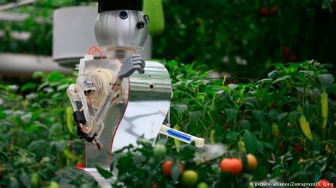 Leisa Agricultura Del Futuro Robots En Lugar De Glifosato