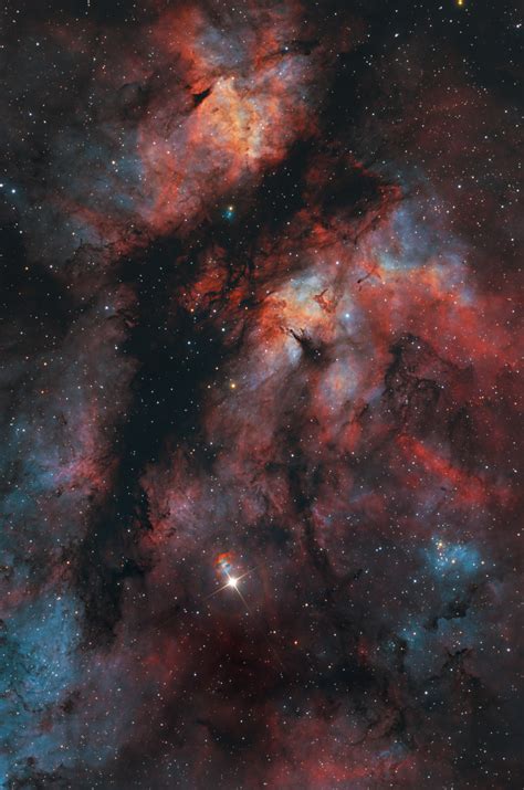 The Gamma Cygni Nebula Concellation