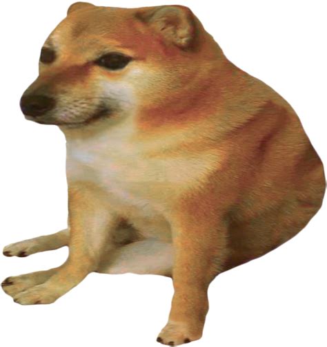 Cheems Doge Png Artpsd