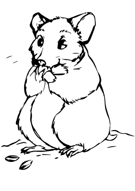 Https://tommynaija.com/coloring Page/hamster Coloring Pages Printable