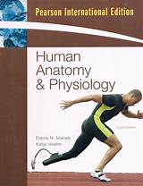 Pictures of Human Anatomy And Physiology Online College Course