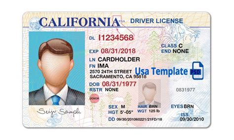 California Driver License Template V1 In 2020 Drivers License