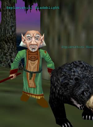 A druid is the master of the outdoors and befriends all flora and fauna. Seplawishinl Bladeblight - Project 1999 Wiki