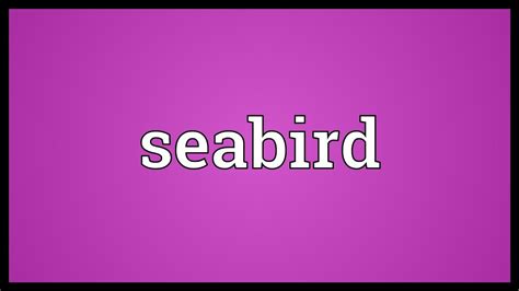 Seabird Meaning Youtube