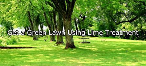 Best Lime Treatment For Lawn Benefits How To Apply When To Apply