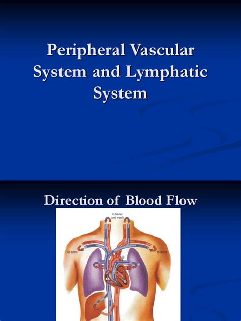Assessment Of Peripheral Vascular System And Lymphatic System Pulse