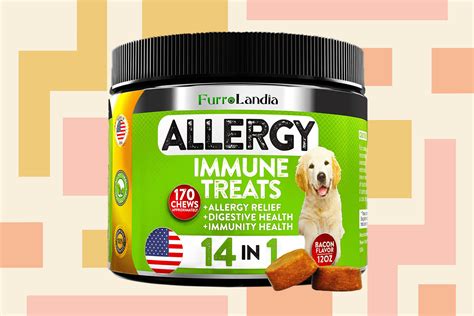 Safest Allergy Medicine For Dogs Vlrengbr