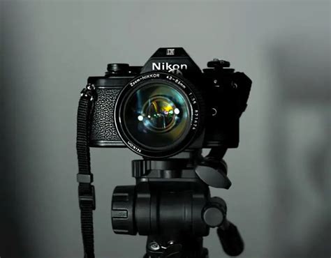 Best Professional Dslr Cameras In 2022 Pixobo Profitable Photography