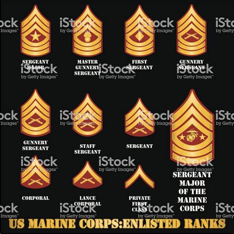 The Insignia Of Enlisted Ranks In The Us Marine Corps Us Marine