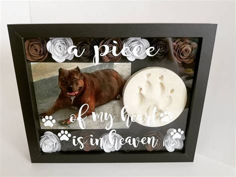 Personalized Shadow Box In Loving Memory Pet Memorial Etsy