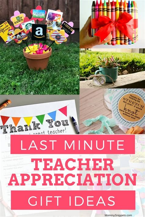 Want to show teachers how much you appreciate their efforts? Last Minute Gift Ideas For Teacher Appreciation Week
