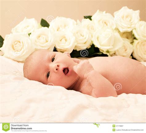 Adorable Baby Newborn Stock Image Image Of Infant Babe 47179087