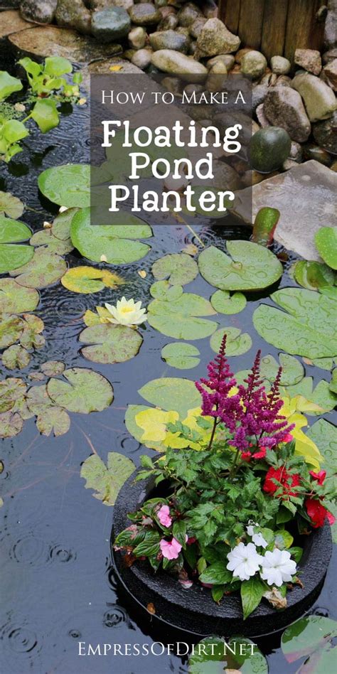 How to Make a Floating Pond Planter - Empress of Dirt