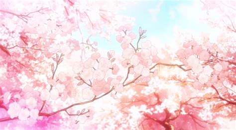 Aesthetic Wallpaper Anime Cherry Blossom Background