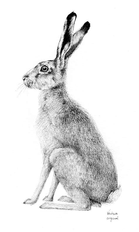 Image Result For Drawing Of A Hare Рисунок кролика Фолк арт картины