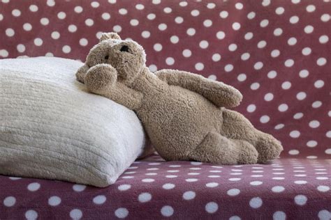 Teddy Bear Lying On The Couch Stock Photo Image Of Dreaming