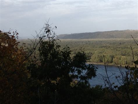 View Of River Behind Trees At Effigy Mounds Iowa Image Free Stock