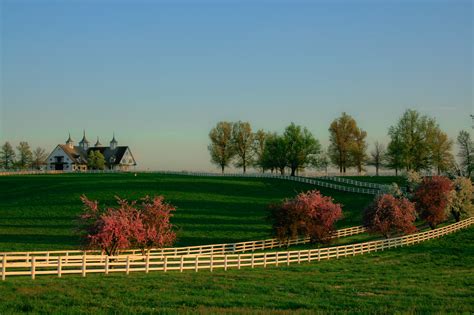 15 Things To Do In Lexington Kentucky With Suggested 3 Day Itinerary