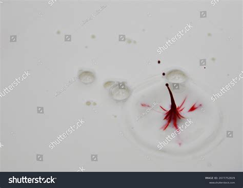 Red Food Coloring Splashing Milk Stock Photo 2077752829 Shutterstock